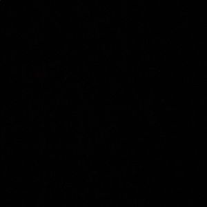 Meet your Posher, Samuel